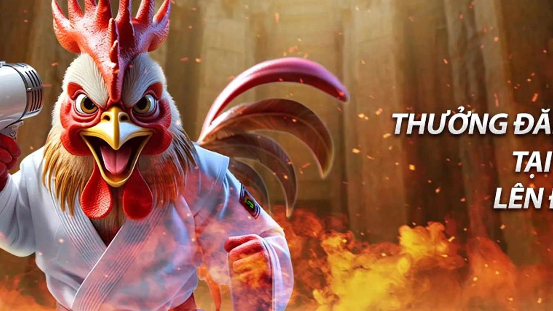 Hình ảnh quà sinh nhật và logo AE888